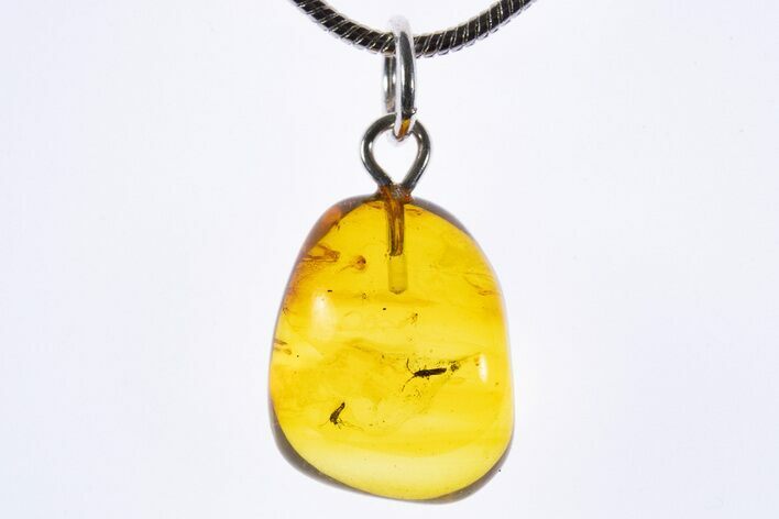 Polished Baltic Amber Pendant (Necklace) - Contains Fly! #339592